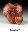 Rosophia